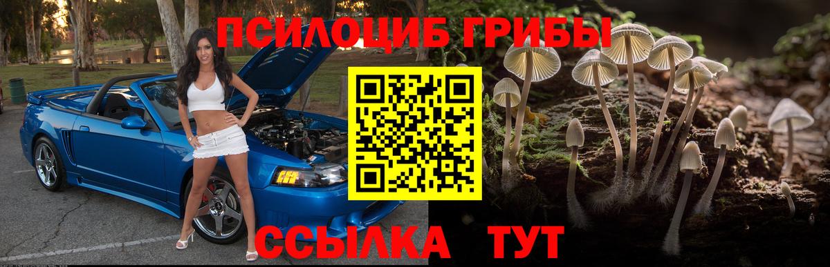Галлюциногенные грибы Psilocybine cubensis Воронеж